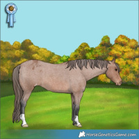 Horse Color:Bay Roan Varnish