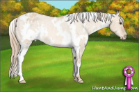 Horse Color:White Spotted Red Dun Appaloosa Rabicano