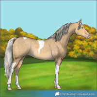 Horse Color:Silver Amber Cream Champagne Dun Tobiano Rabicano