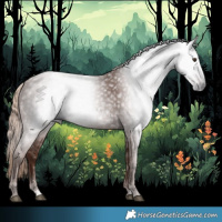 Horse Color:Gray Chestnut 