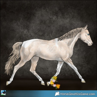 Horse Color:Gold Champagne Ice Pearl Tobiano 