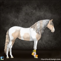 Horse Color:Gold Champagne Pearl Tobiano 