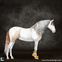 Horse Color:Amber Champagne Pearl Splash Tobiano 
