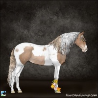 Horse Color:Liver Chestnut Pearl Tobiano Rabicano 
