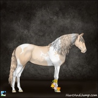 Horse Color:Gold Champagne Pearl Tobiano