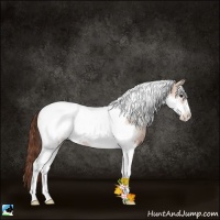 Horse Color:Brown Ice Pearl Onyx Sabino Tobiano Frame 