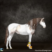 Horse Color:White Spotted Liver Red Onyx Pearl Tobiano Rabicano 
