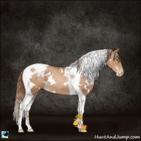 Horse Color:White Spotted Liver Chestnut Pearl Tobiano 