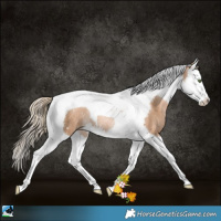 Horse Color:Chestnut Pearl Splash Tobiano Rabicano 