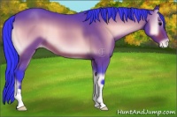 Horse Color:Watercolor Bay Onyx Appaloosa