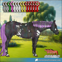 Horse Color:Platinum Painted White Spotted Midnight Liver Red Onyx Ice Mushroom 
