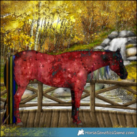 Horse Color:ERROR: UNKNOWN ANOMALY