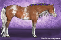 Horse Color:White Spotted Silver Bay Splash 