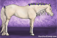Horse Color:Gold Cream Champagne Pearl 