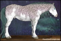 Horse Color:Watercolor Buckskin Ice Onyx Splash