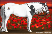 Horse Color:Black Splash Tobiano Frame Appaloosa 