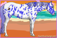 Horse Color:Watercolor Smoky Black Tobiano Appaloosa 