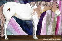 Horse Color:Watercolor White Spotted Chestnut Appaloosa 