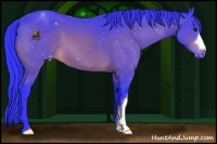 Horse Color:Watercolor Brown Appaloosa 