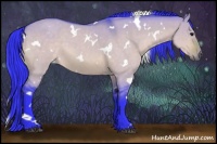 Horse Color:Watercolor White Spotted Bay Roan Dun 