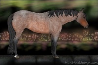 Horse Color:Brown Roan 