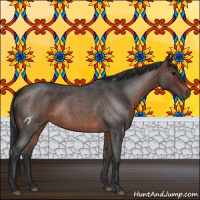 Horse Color:Brown Roan