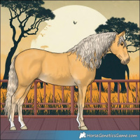 Horse Color:Palomino