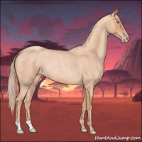 Horse Color:Gold Champagne Roan