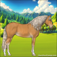 Horse Color:Palomino
