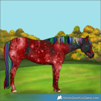 Horse Color:ERROR: UNKNOWN ANOMALY