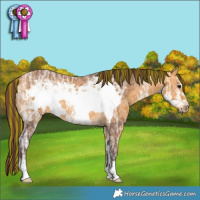 Horse Color:Painted Chocolate Buckskin Ice Frame