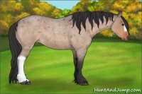 Horse Color:Bay Roan Dun