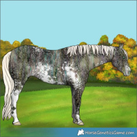 Horse Color:White Spotted Silver Classic Cream Champagne Ice Dun 