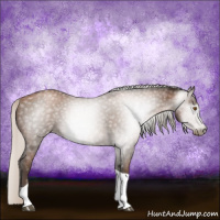 Horse Color:Gray Silver Black Pearl Tobiano 
