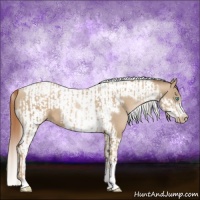 Horse Color:Chocolate Palomino Pearl Tobiano Frame  and Smoky Black Pearl Tobiano Frame 