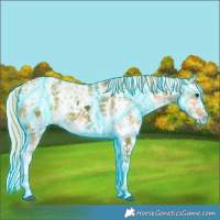 Horse Color:Thunderstruck Palomino Ice Sabino Splash 