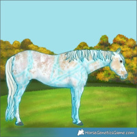 Horse Color:Thunderstruck Palomino Ice Sabino Splash 