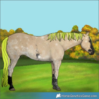 Horse Color:Void Painted Palomino Ice Sabino Splash 