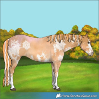 Horse Color:Painted Palomino Ice Sabino Splash 