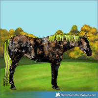 Horse Color:Void Painted Palomino Ice Sabino Splash 