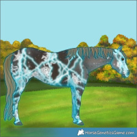 Horse Color:Thunderstruck White Spotted Liver Chestnut Ice 