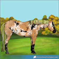 Horse Color:Void Painted White Spotted Palomino Ice Splash 