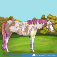 Horse Color:Painted Chestnut Ice Sabino Splash 