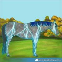 Horse Color:Thunderstruck White Spotted Liver Chestnut Ice 