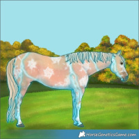 Horse Color:Thunderstruck White Spotted Chocolate Palomino Ice Dun 