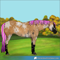 Horse Color:Void Painted Palomino Ice Sabino Splash 