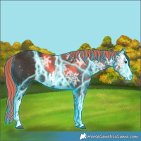 Horse Color:Thunderstruck White Spotted Liver Chestnut Ice 