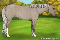 Horse Color:Silver Smoky Grullo Roan 