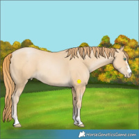 Horse Color:Smoky Black Pearl 