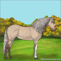 Horse Color:Silver Bay Dun